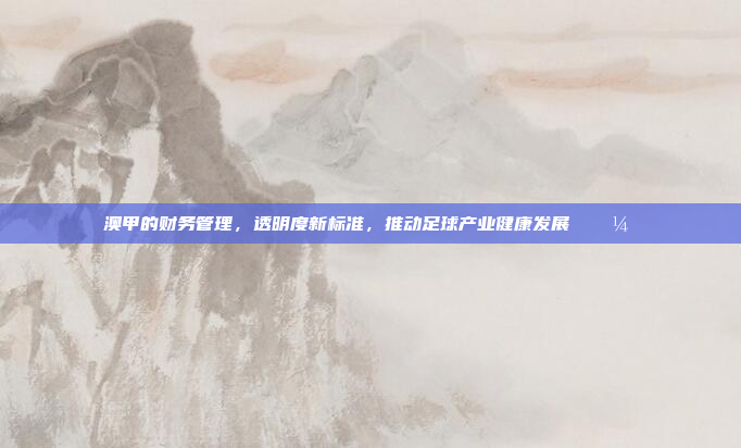 澳甲的财务管理，透明度新标准，推动足球产业健康发展 💼✍️