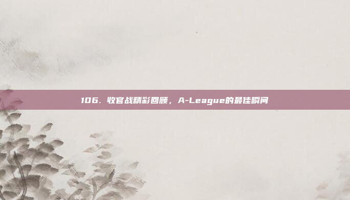 106. 收官战精彩回顾，A-League的最佳瞬间