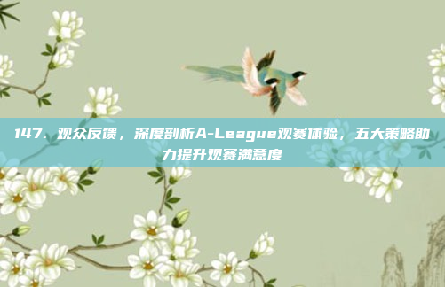 147. 观众反馈，深度剖析A-League观赛体验，五大策略助力提升观赛满意度