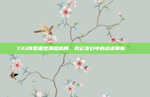 733阵型重塑澳超格局，风云变幻中的战术革新🔄