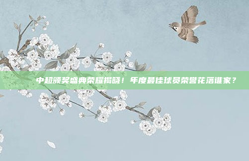 🎉 中超颁奖盛典荣耀揭晓！年度最佳球员荣誉花落谁家？