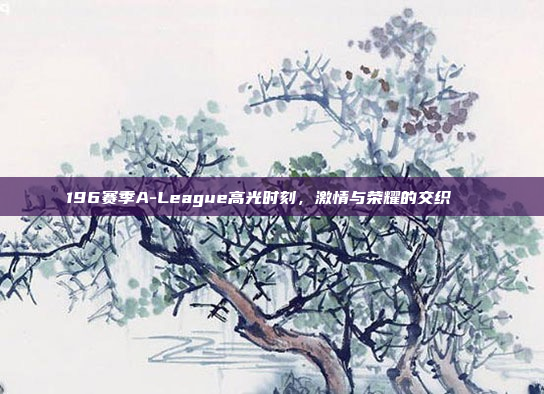 196赛季A-League高光时刻，激情与荣耀的交织🌟