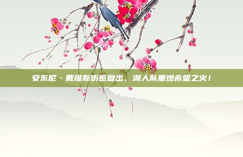 安东尼·戴维斯伤愈复出，湖人队重燃希望之火！