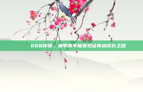 🌈 668传奇，澳甲青年联赛见证青训成长之路