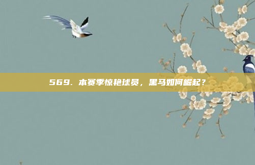 569. 本赛季惊艳球员，黑马如何崛起？