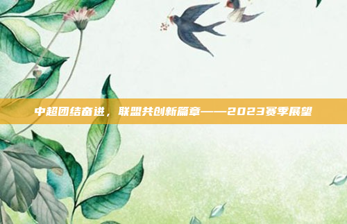 中超团结奋进，联盟共创新篇章——2023赛季展望