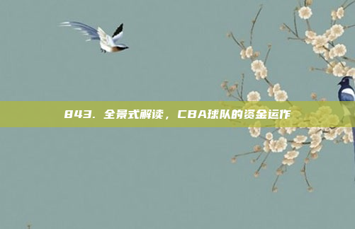 843. 全景式解读，CBA球队的资金运作