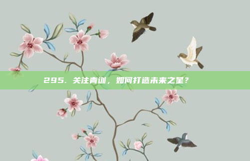 295. 关注青训，如何打造未来之星？🌟