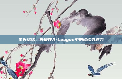 星光熠熠，外援在A-League中的璀璨影响力