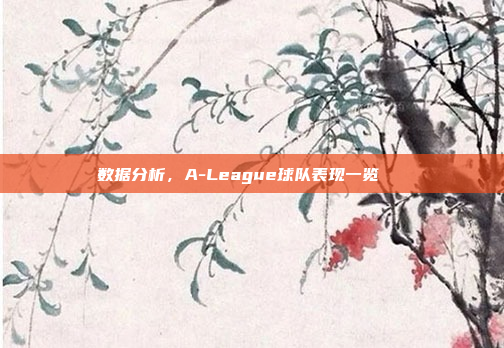 数据分析，A-League球队表现一览📊