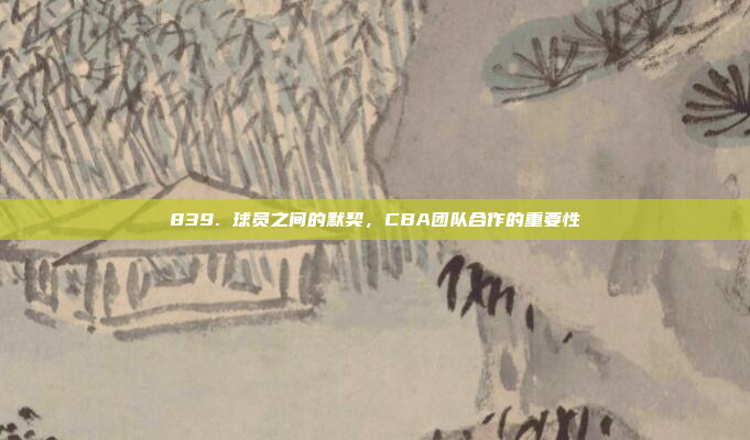 839. 球员之间的默契，CBA团队合作的重要性