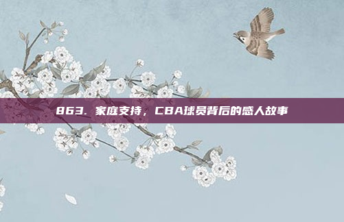 863. 家庭支持，CBA球员背后的感人故事