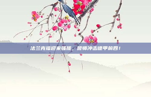 法兰克福迎来强援，誓师冲击德甲前四！