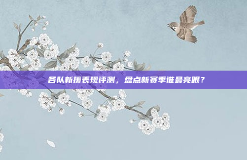 🌟✨ 各队新援表现评测，盘点新赛季谁最亮眼？🌟✨