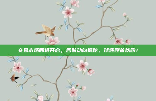 交易市场即将开启，各队动向揭秘，球迷翘首以盼！