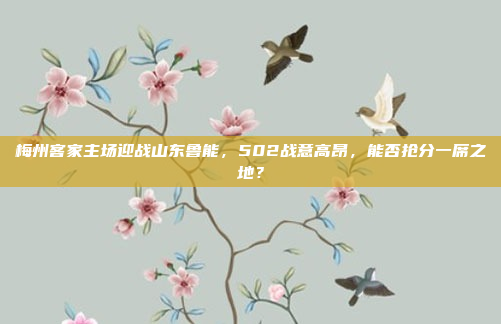 梅州客家主场迎战山东鲁能，502战意高昂，能否抢分一席之地？