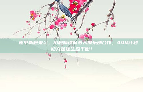 🔗 德甲新规来袭，小规模球队与大俱乐部合作，444计划助力足球生态平衡！