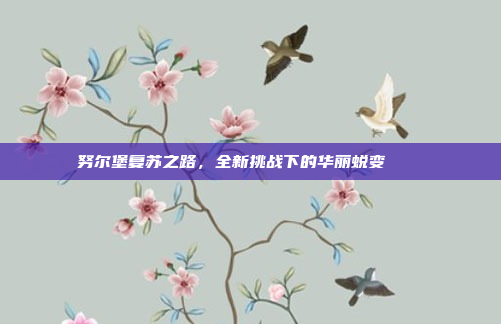 努尔堡复苏之路，全新挑战下的华丽蜕变 🔄