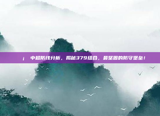 🛡️ 中超防线分析，揭秘379组合，最坚固的防守堡垒！