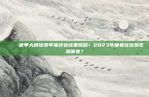 🏅 德甲大牌球员年度评选结果揭晓！2023年度最佳球员花落谁家？