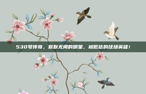 530号传奇，默默无闻的明星，被低估的球场英雄！