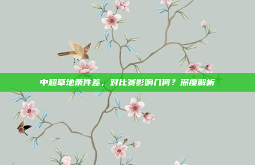 中超草地条件差，对比赛影响几何？深度解析